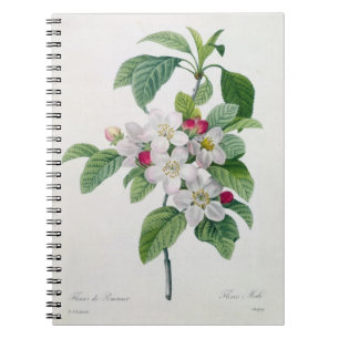 「美女とLes Choix desからのAppleの花、 ノートブック