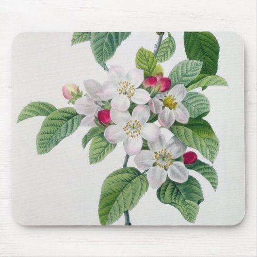 「美女とLes Choix desからのAppleの花、 マウスパッド (正面)