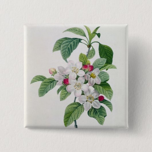 「美女とLes Choix desからのAppleの花、 缶バッジ (正面)