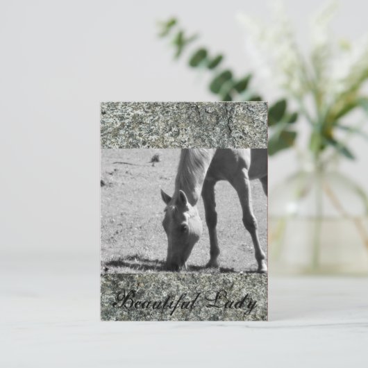 美女 ポストカード (スタンド正面)