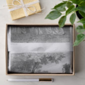 美女 薄葉紙 (ギフト)