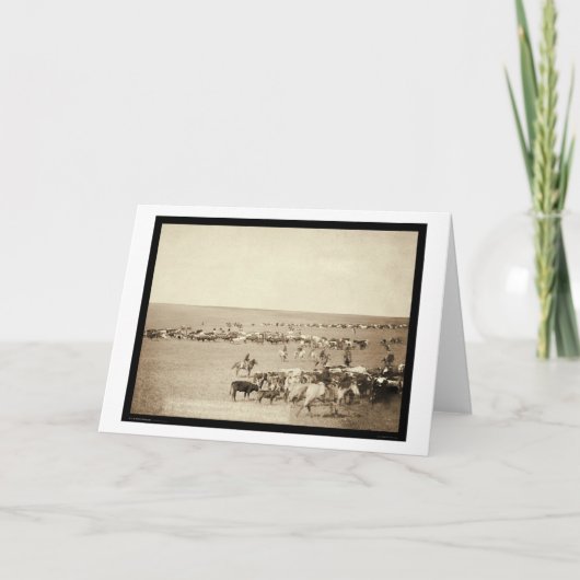 美女Fouche SD 1887年のカウボーイの集合 カード (正面)