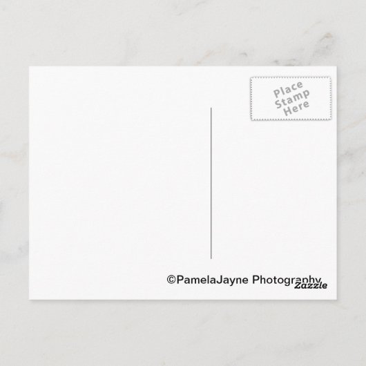 美女Maison ポストカード (裏面)