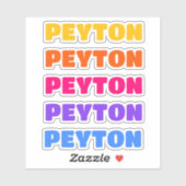 美学名ステッカー、ステッ名門私立校風のカー シール (シート)