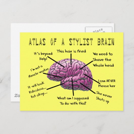 美容師ギフト「スタイリスト・ブレインの地図」 ポストカード (正面/裏面)