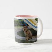 美形のキジトラ猫の女の子 ツートーンマグカップ (正面右)