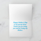 美数々の色の母の日カード サンキューカード (内部)