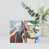 美智音 ポストカード (スタンド正面)