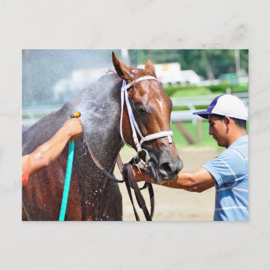 美智音 ポストカード (正面)