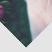 美犬とバラコレクション 薄葉紙 (詳細)