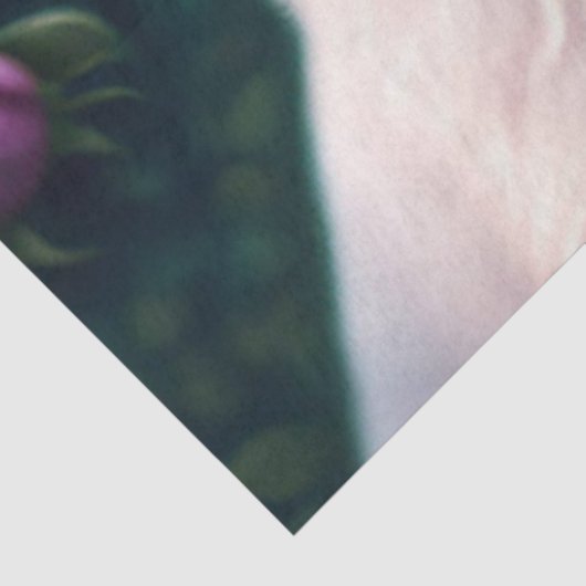 美犬とバラコレクション 薄葉紙 (詳細)