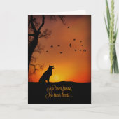 美犬の同情カード カード (正面)