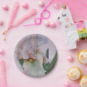 美白独身の虹彩紙プレート ペーパープレート (パーティー)