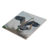 美素晴らししいブルーヘロン一家（写真） タイル (側面)