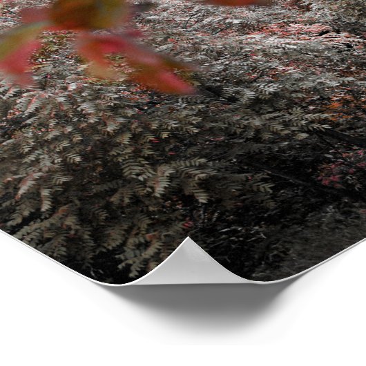 美素朴しい木々の橋の風景の写真 ポスター (角)