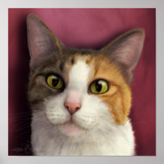 美美 ポスター (正面)