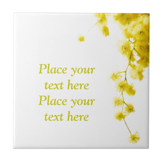 美茂佐 タイル (正面)