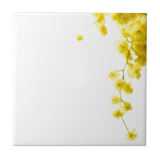 美茂佐 タイル (正面)