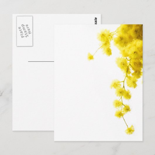 美茂佐 ポストカード (正面/裏面)