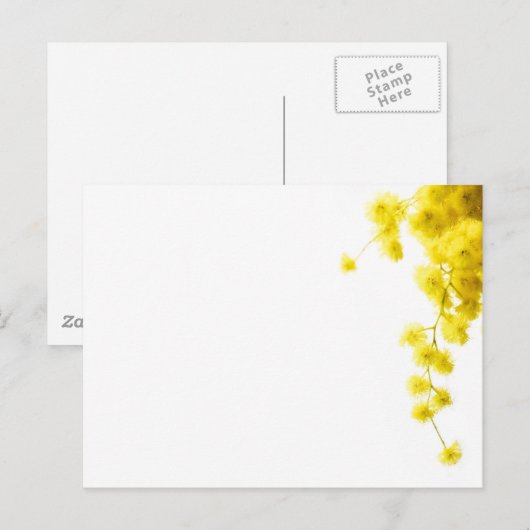 美茂佐 ポストカード (正面/裏面)