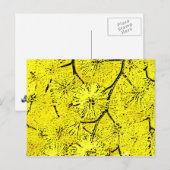 美茂佐 ポストカード (正面/裏面)