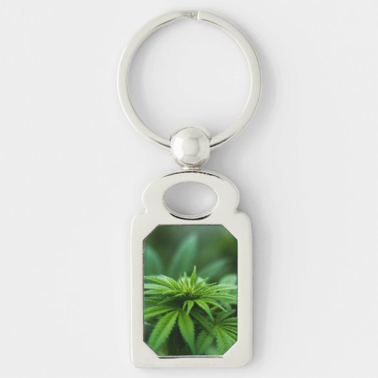 美草 キーホルダー (正面)