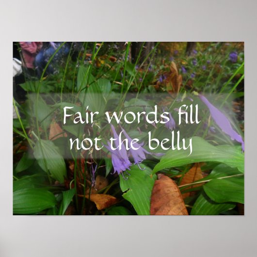 美語は腹の知恵のポスターを満たしていないことわざ ポスター (正面)