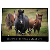 美馬可逆大抱き枕 ラージペーパーバッグ (正面)