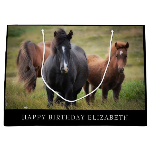 美馬可逆大抱き枕 ラージペーパーバッグ (正面)