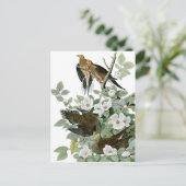 美鳥はがき28 ポストカード (スタンド正面)