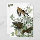 美鳥はがき28 ポストカード (正面/裏面)
