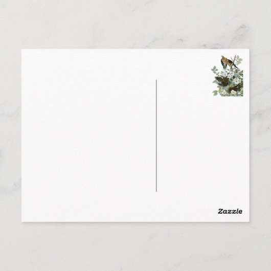 美鳥はがき28 ポストカード (裏面)