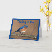 美鳥頼**どうだ?*** カード (黄色い花)