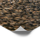 群がる ポスター (角)