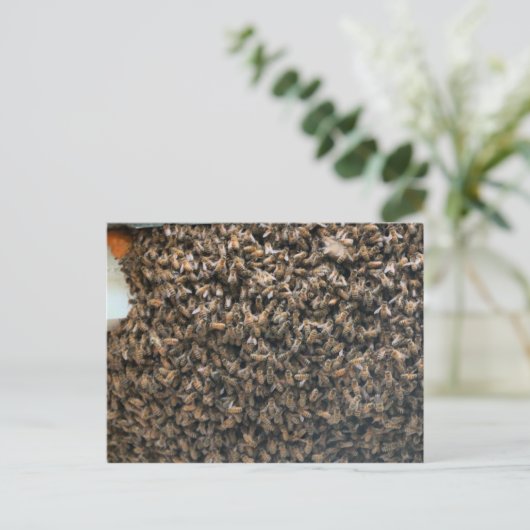 群がる ポストカード (スタンド正面)