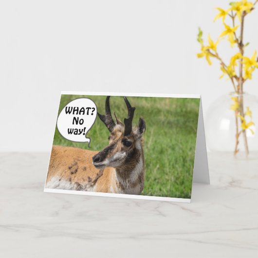 群れから聞こえたのは**40**わあ カード (黄色い花)