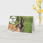 群れから聞こえたのは**50**わあ カード (黄色い花)