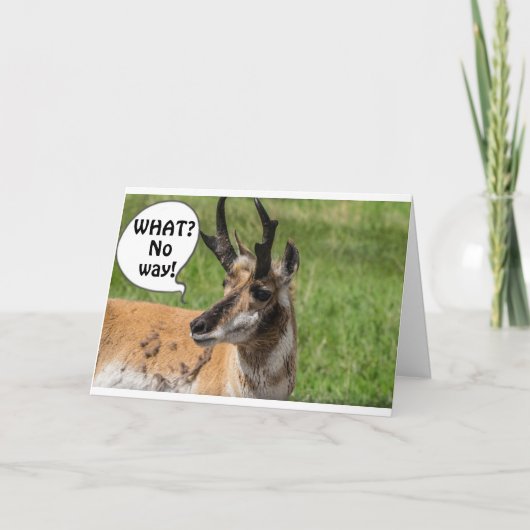 群れから聞こえたのは**50**わあ カード (正面)