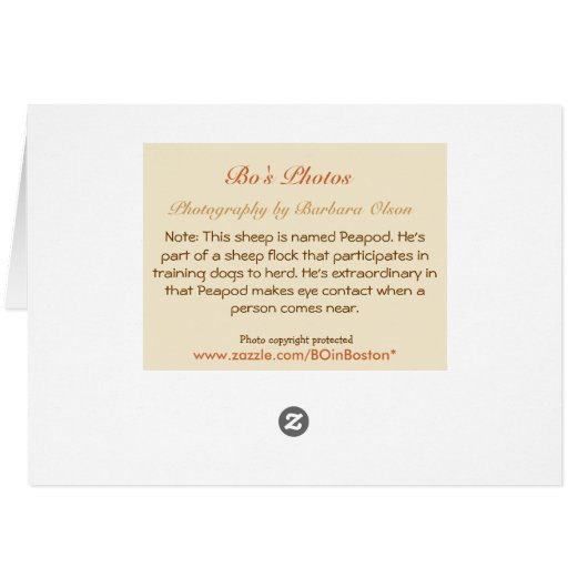 群れの中に居た？ (裏面横)