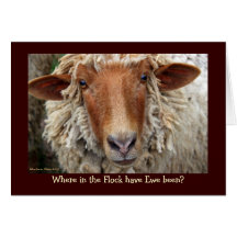 群れの中に居た？