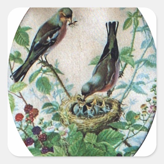 群れの維持:親の育成のキャプチャ スクエアシール (正面)