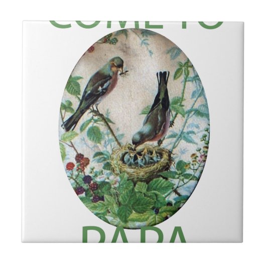 群れの維持:親の育成のキャプチャ タイル (正面)