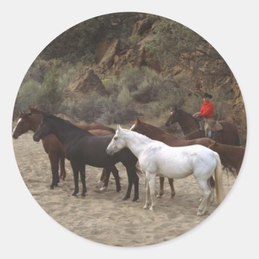 群れを持つカウボーイ ラウンドシール (正面)