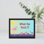 群れオフ ポストカード (スタンド正面)