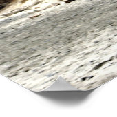 群れ ポスター (角)