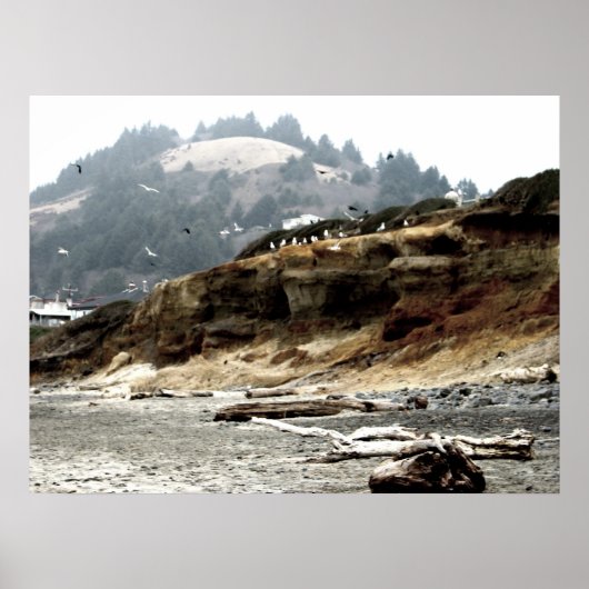 群れ ポスター (正面)