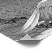 群れ ポスター (角)