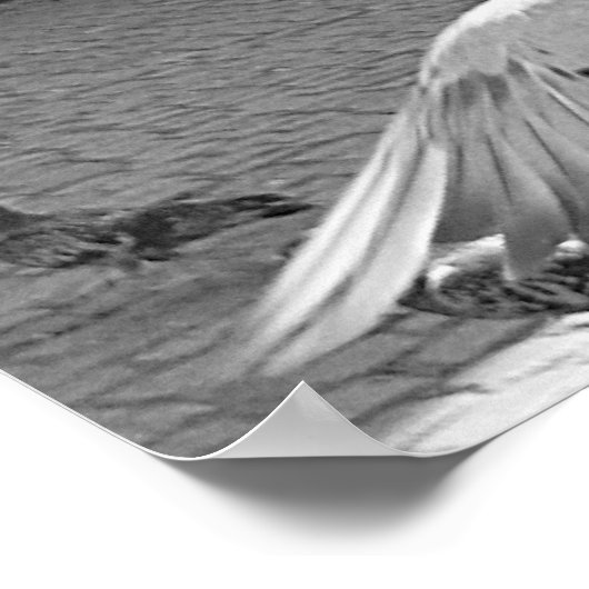 群れ ポスター (角)