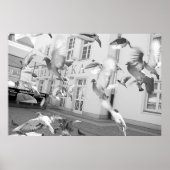 群れ ポスター (正面)