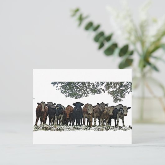 群れ ポストカード (スタンド正面)